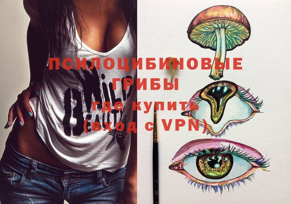 ПСИЛОЦИБИНОВЫЕ ГРИБЫ Беломорск
