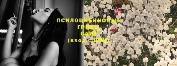 ПСИЛОЦИБИНОВЫЕ ГРИБЫ Беломорск
