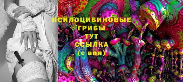 ПСИЛОЦИБИНОВЫЕ ГРИБЫ Беломорск