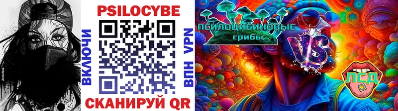 Псилоцибиновые грибы прущие грибы  Цоци-Юрт 